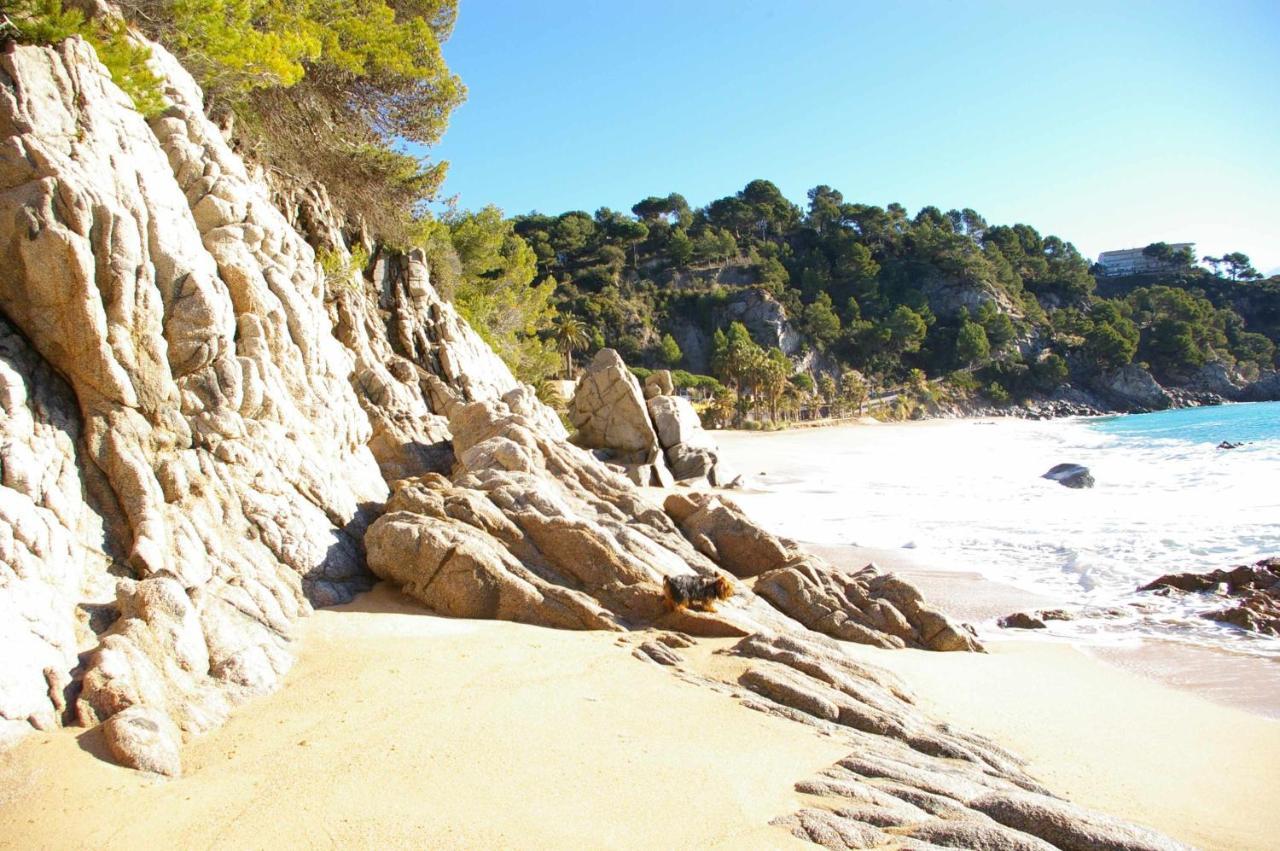 Casas Blanca 19 Piscina Barbacoa Wifi Villa Tossa de Mar Kültér fotó